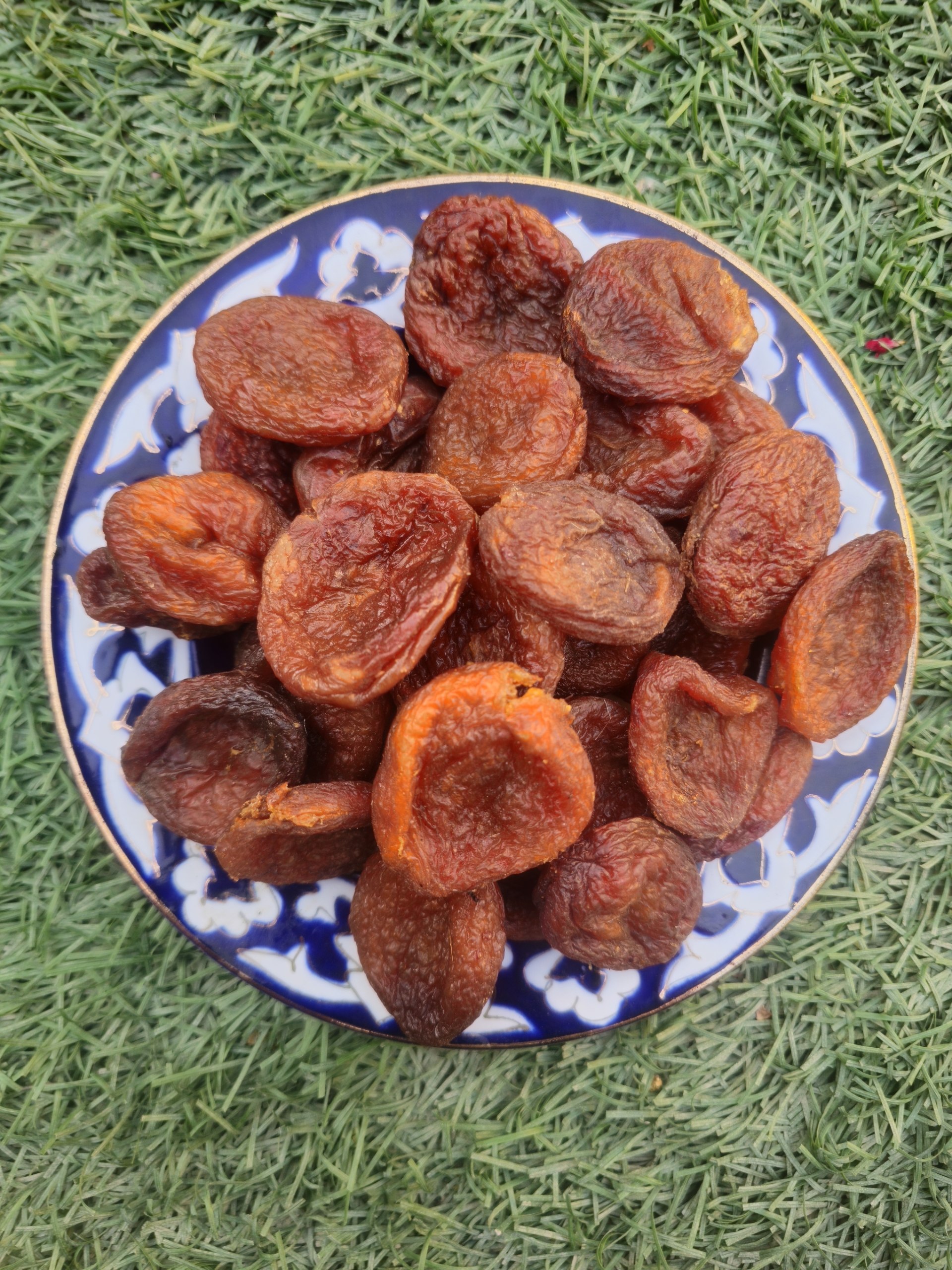 Ho'l tabiiy quritilgan o'rik qoqi