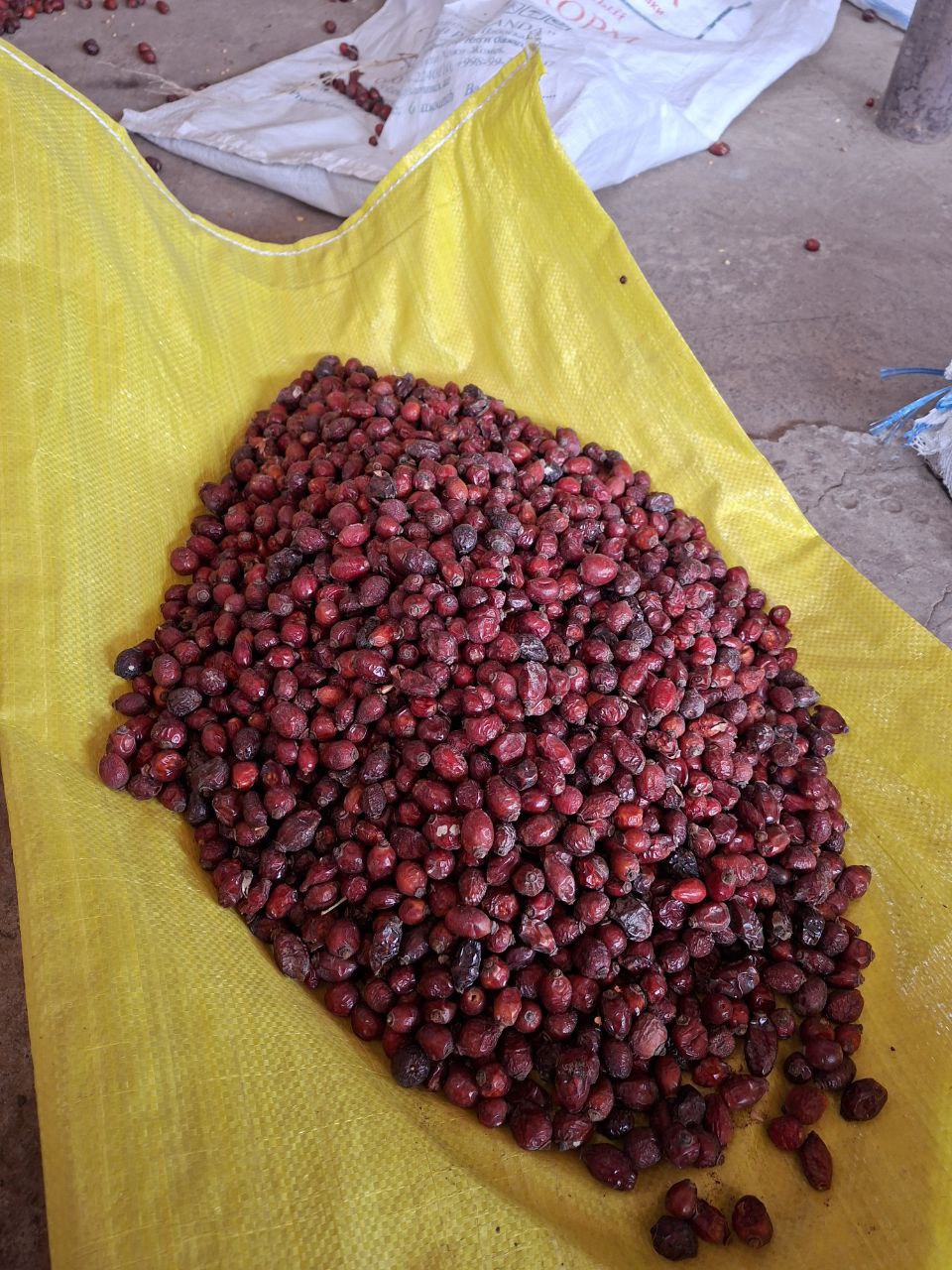 Namatak